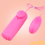 Bullet Vibrator 2 in 1